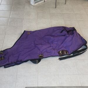 Big D Horse Blanket Thick Sheet with Buckle Straps